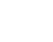 Motor Insurance